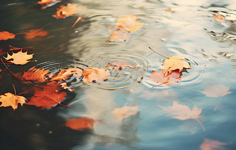 Seasonal Carp Fishing Tips