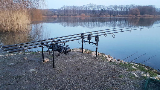 Visual Bite Indicators