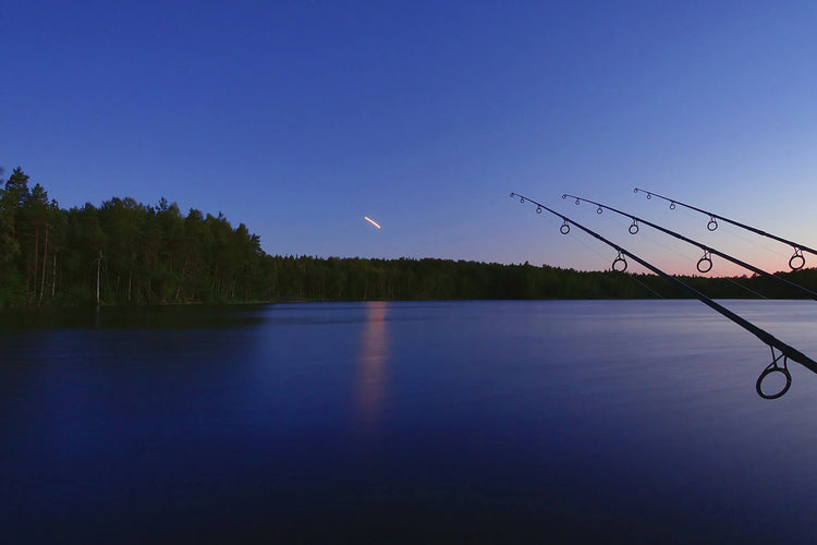 Factory-direct pricing for carp anglers