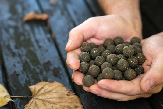 Magnet Carp Baits 