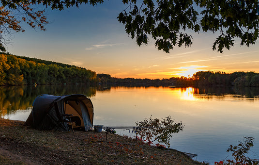 Carp Fishing mission